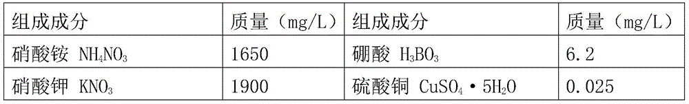 A kind of zhejiang golden thread orchid seed tissue culture and rapid seedling raising method