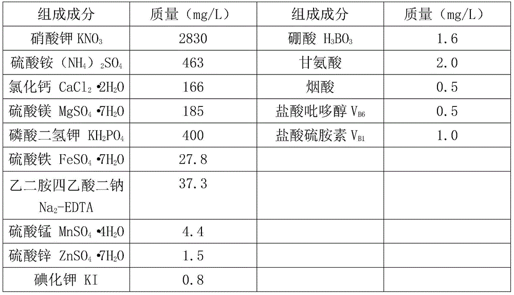 A kind of zhejiang golden thread orchid seed tissue culture and rapid seedling raising method