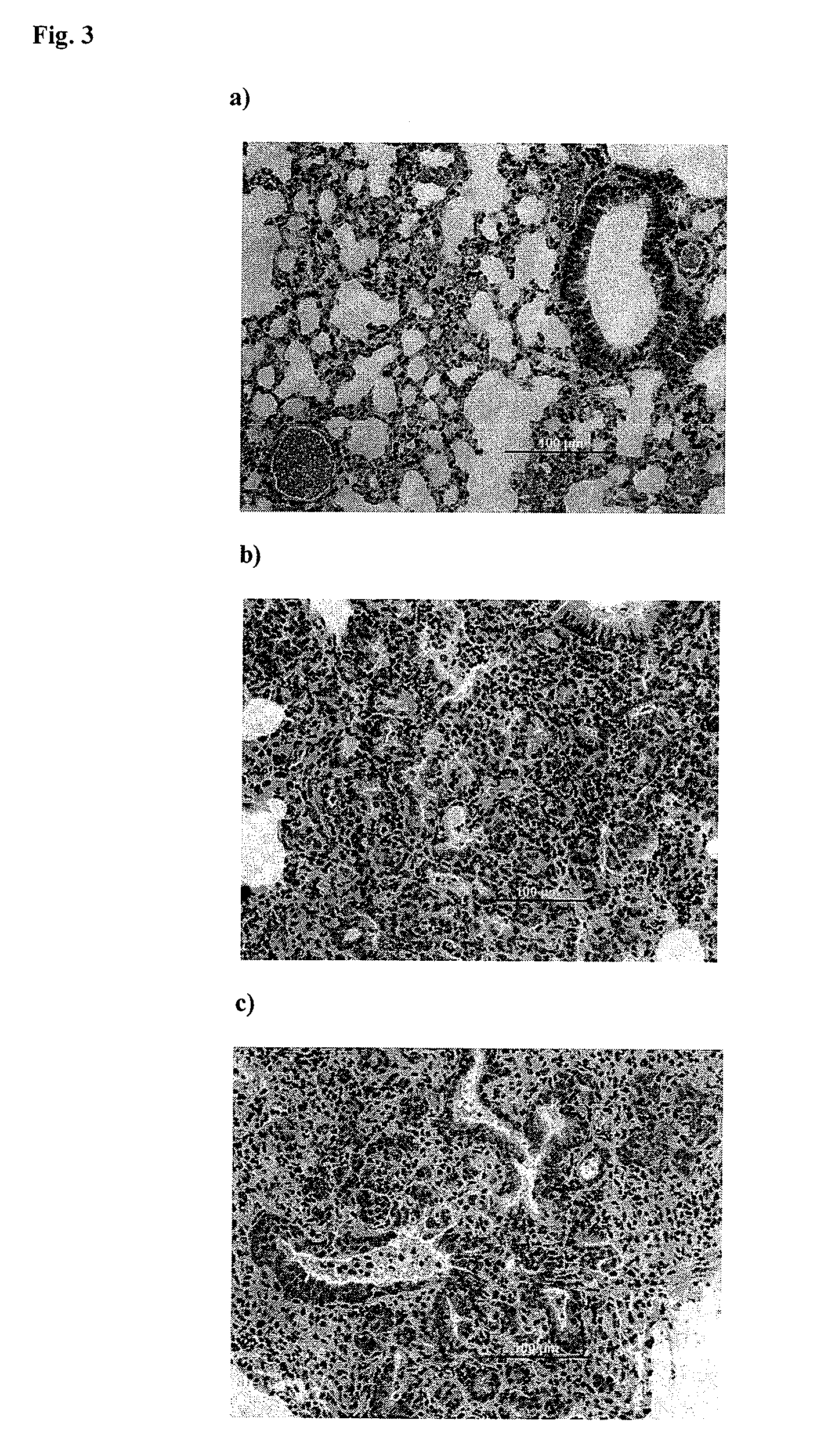 H2N3 influenza A viruses and methods of use