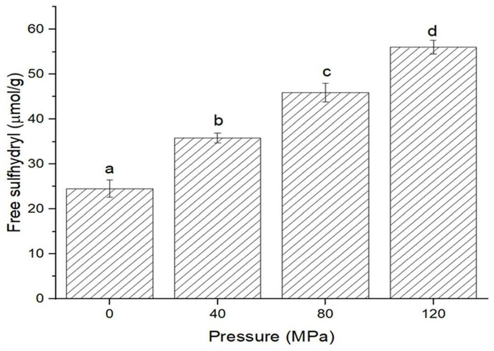 Method for modifying mussel protein through high-pressure homogenization treatment