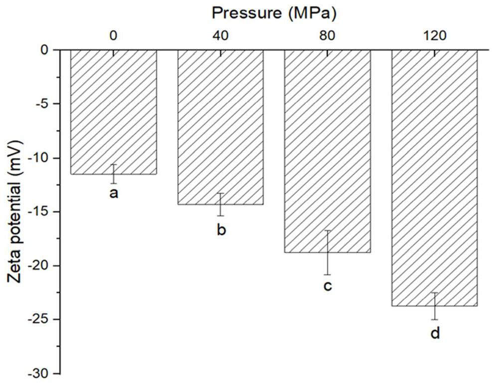 Method for modifying mussel protein through high-pressure homogenization treatment