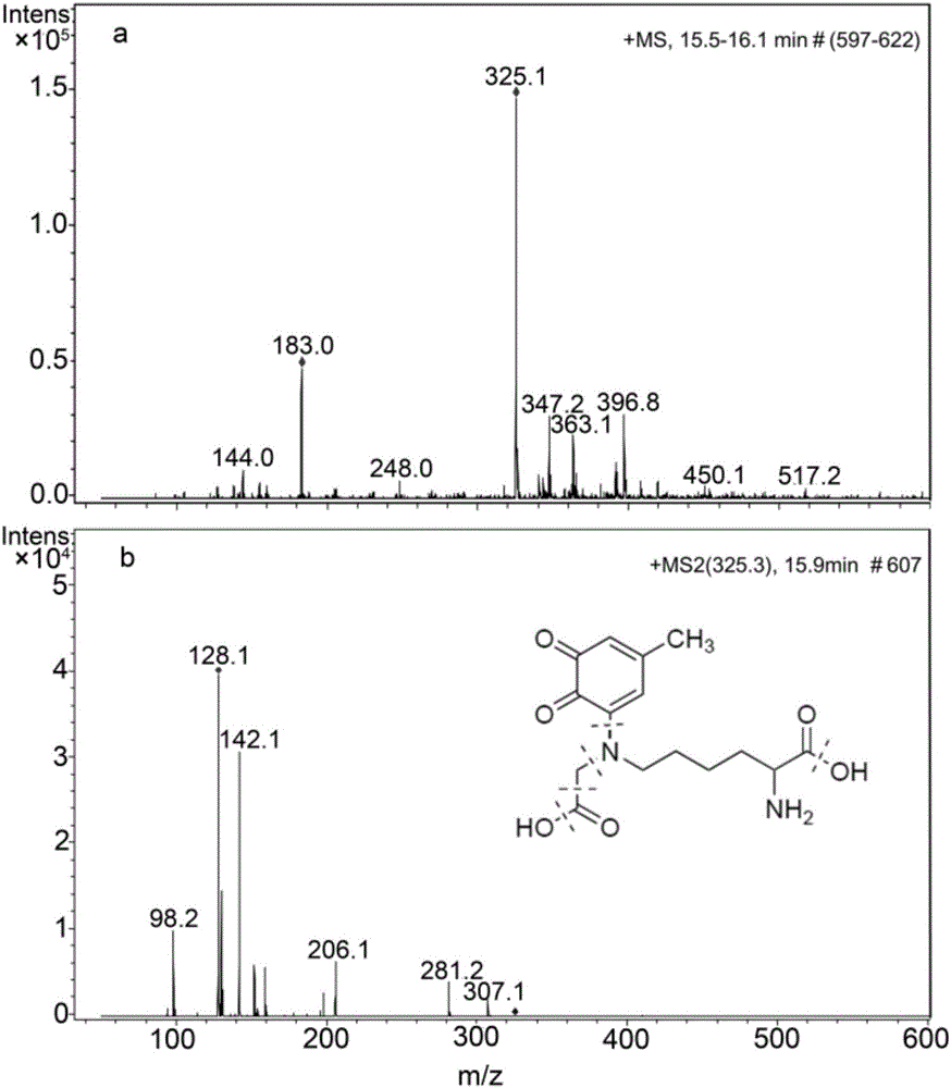Class-I carboxymethyl lysine removing agent and application thereof