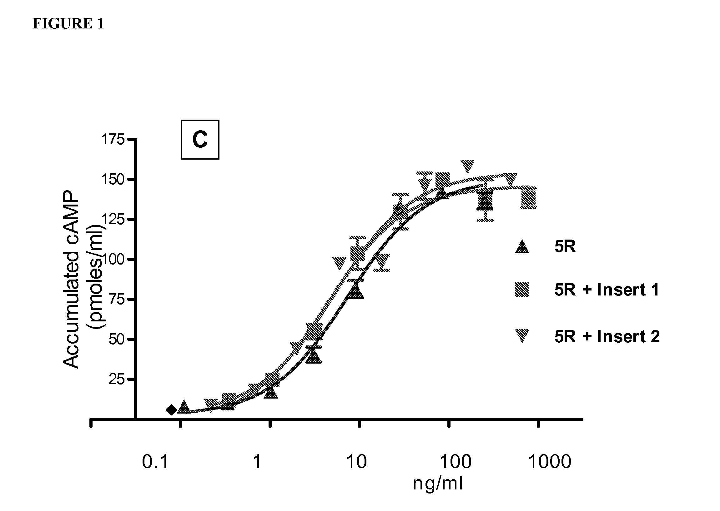 Glycoprotein Hormone Long-Acting Superagonists