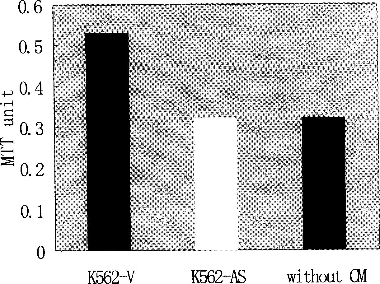 Anti blood tumorous reverse VEGF gene sequence and expression carrier of recombination eukaryon