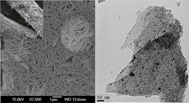 Preparation method of anti-carbon deposition and anti-sintering monolithic methane dry reforming catalyst