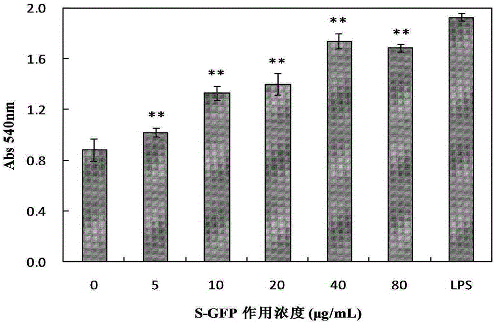Sulphating grifola frondosa insoluble polysaccharide and application