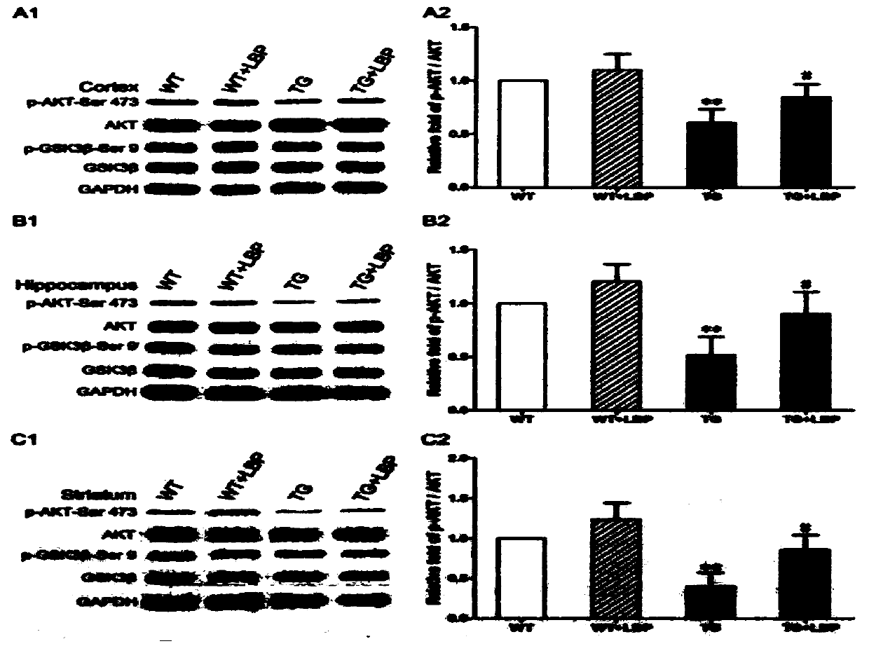 Application of lycium barbarum polysaccharide to preparation of medicament or health-care product for repairing damaged nerves