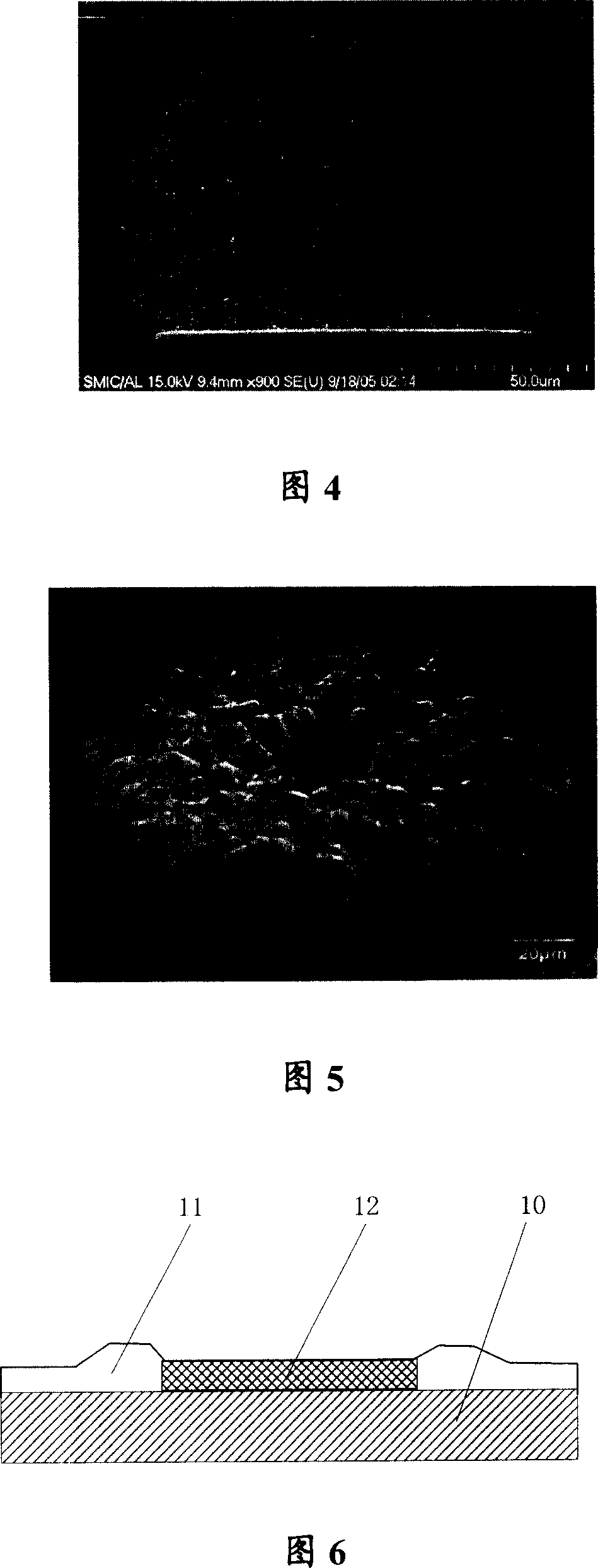 Method for making lead and tin alloy protruding point