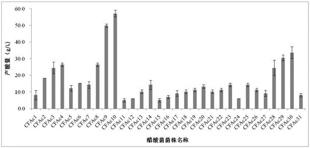 Bacillus aceticus and application of bacillus aceticus in coffee cherry peel and pulp fermentation vinegar