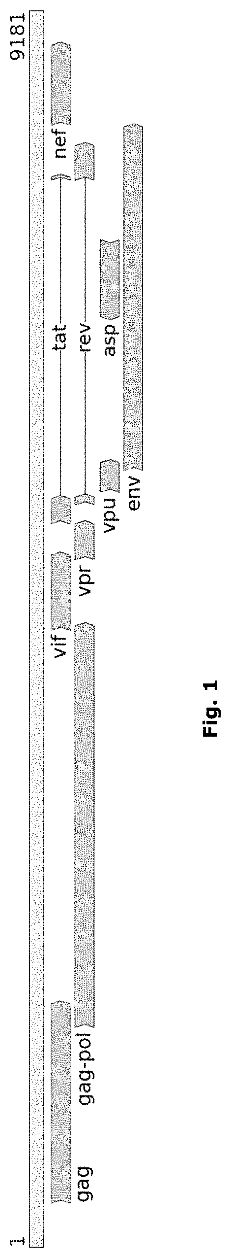 Alignment method for nucleic acid sequences