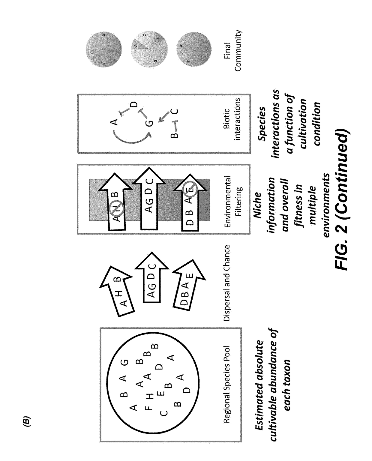 Methods for identifying interactions amongst microorganisms