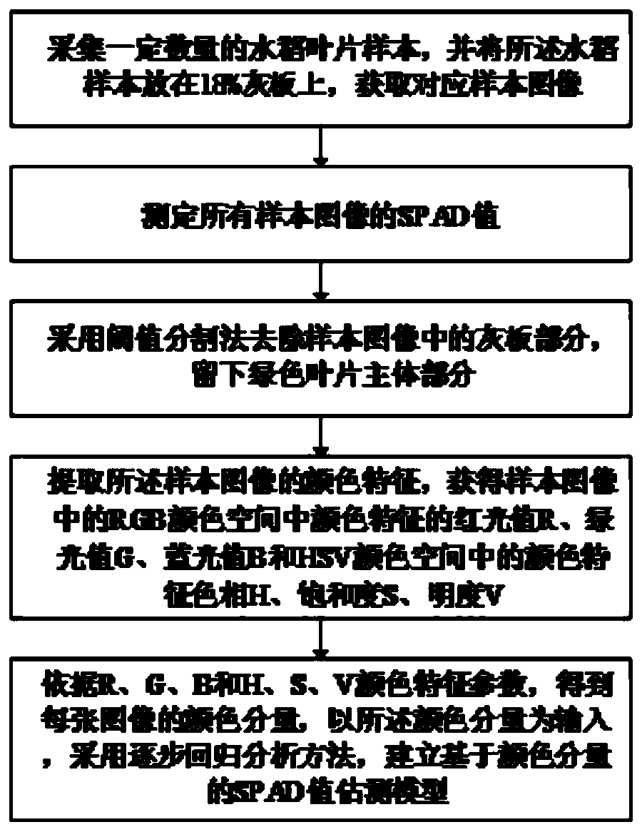 Rice leaf SPAD value estimation method and system based on computer vision