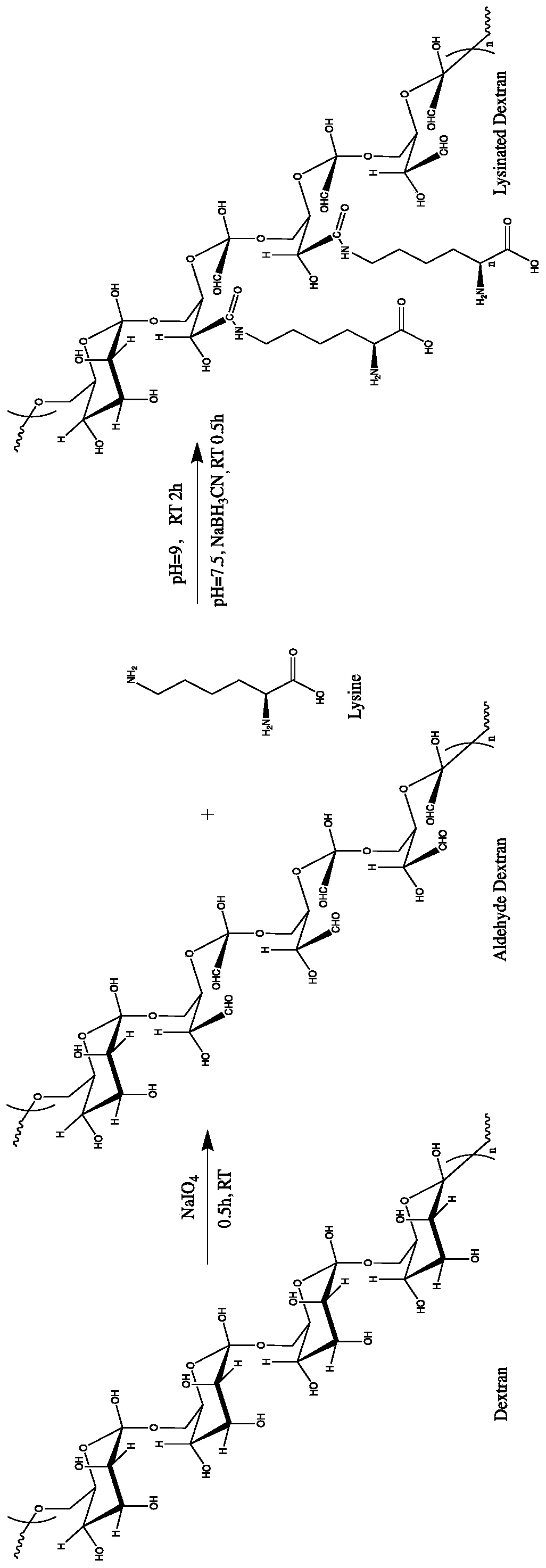 High-molecular polymer for stabilizing immobilized protein, and preparation method and application thereof