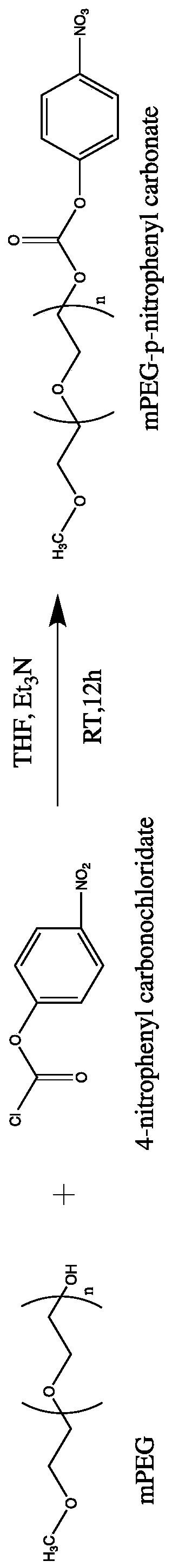 High-molecular polymer for stabilizing immobilized protein, and preparation method and application thereof