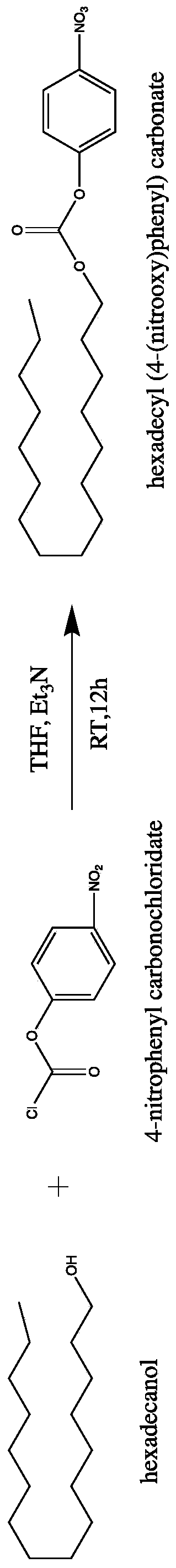 High-molecular polymer for stabilizing immobilized protein, and preparation method and application thereof