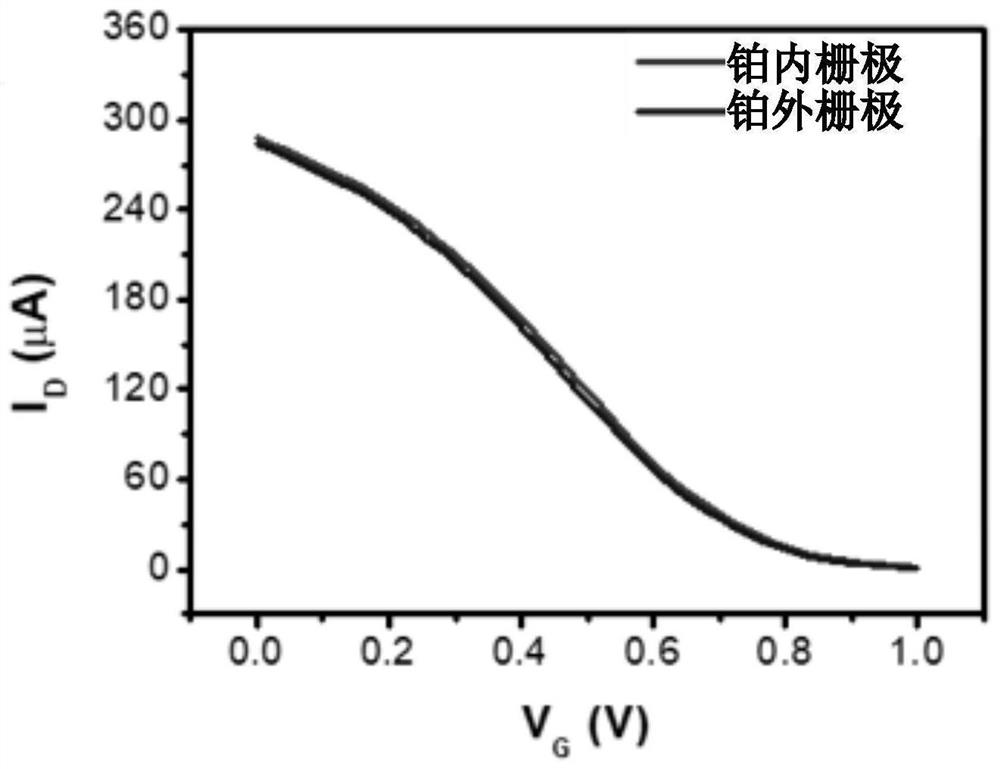 Dual-gate organic electrochemical transistors