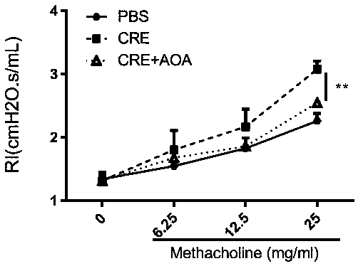 Use of small molecule compound aminoxyacetic acid in preparing medicine for treating asthma