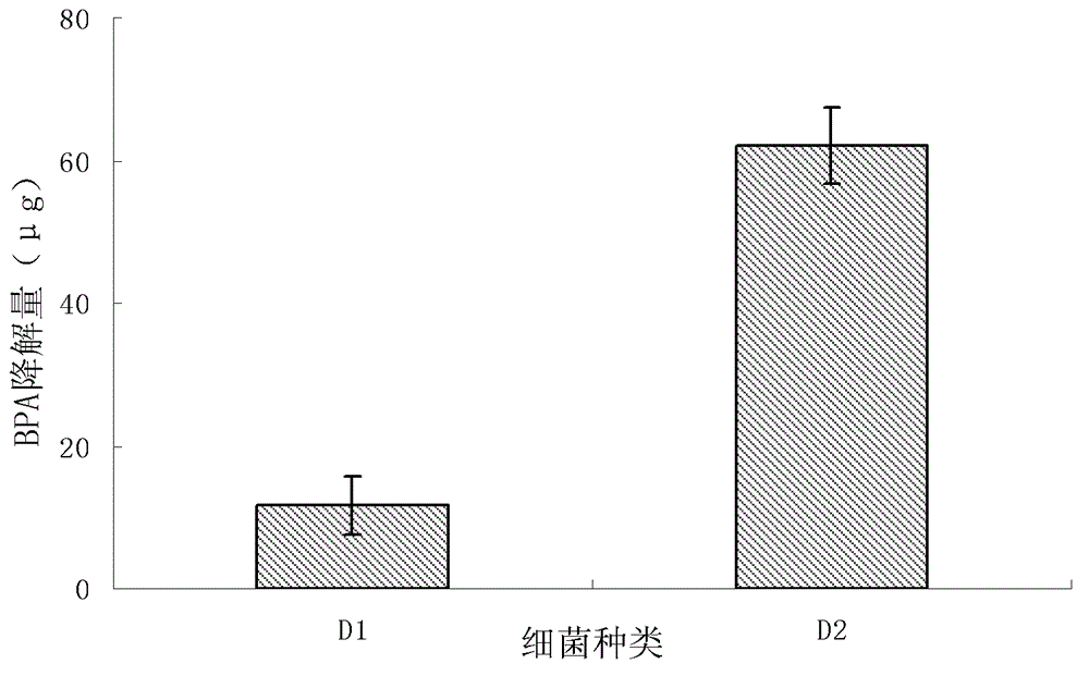 A kind of affinity adsorption biodegradable film and preparation method thereof