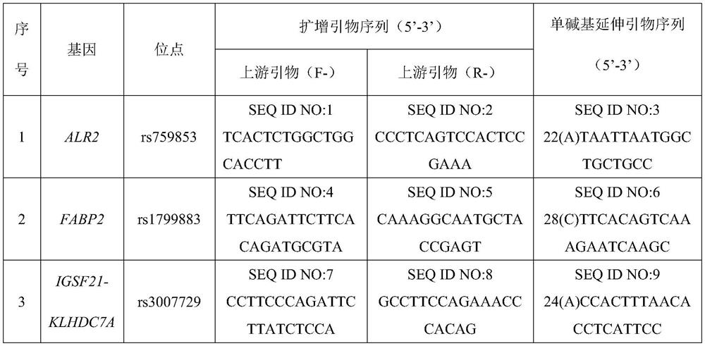 Diabetes microangiopathy gene susceptibility detection kit and group of SNP (Single Nucleotide Polymorphism) sites applied by kit