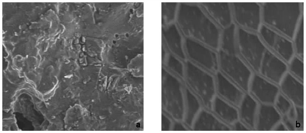 A kind of preparation method of skin-friendly liquid absorbent material