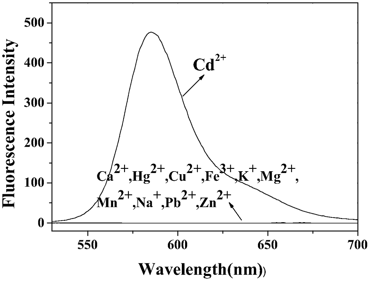 Rhodamine-based Cd&lt;2+&gt; fluorescent probe prepared by using Mannich reaction, and synthesis method of rhodamine-based Cd&lt;2+&gt; fluorescent probe