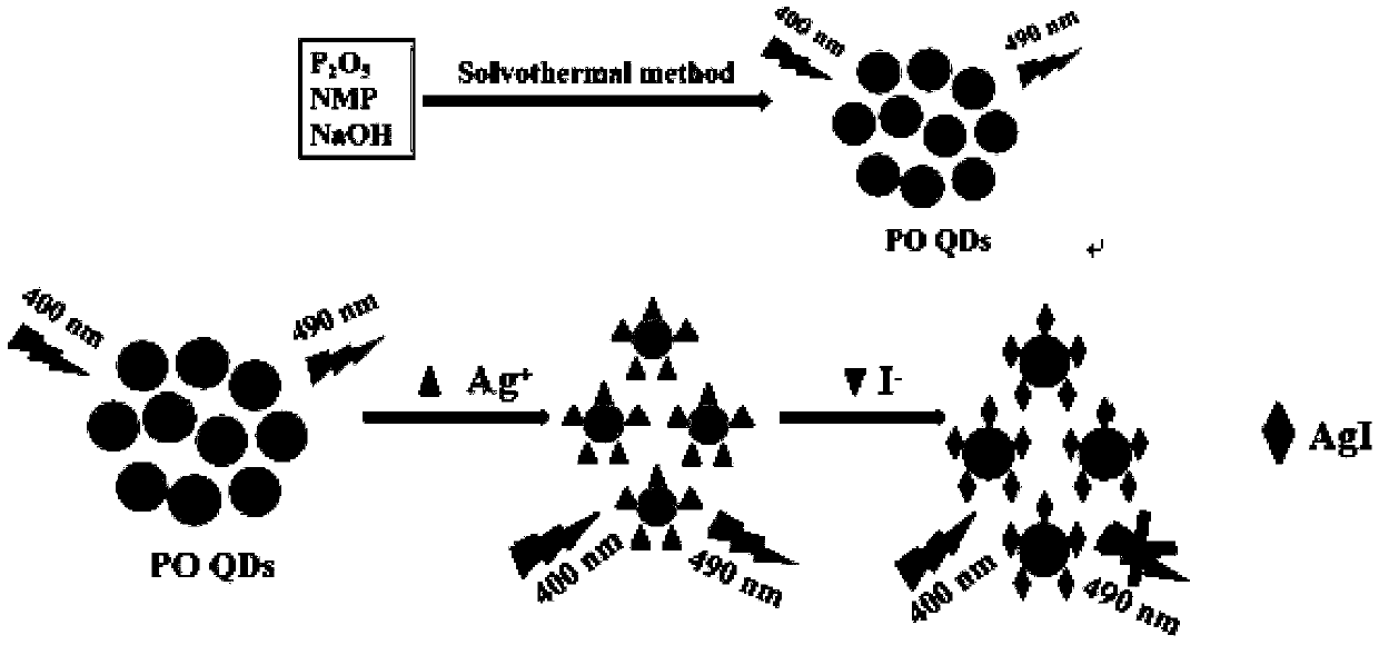 Preparation and detection method of fluorescent probe for detecting iodide ions in water environment