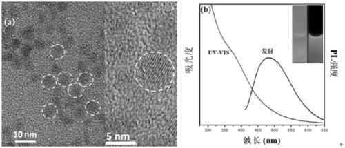 Preparation and detection method of fluorescent probe for detecting iodide ions in water environment