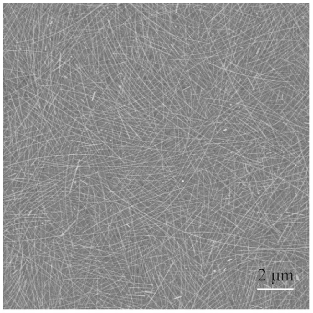 Novel light-transmitting electromagnetic protective film and preparation method thereof