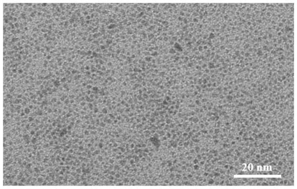 A kind of water-soluble amorphous noble metal nanoparticles and preparation method thereof