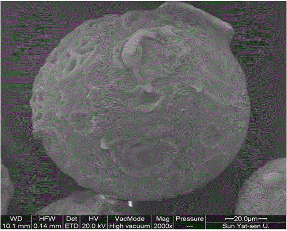 A kind of hollow open gelatin cell microcarrier and its preparation method and application