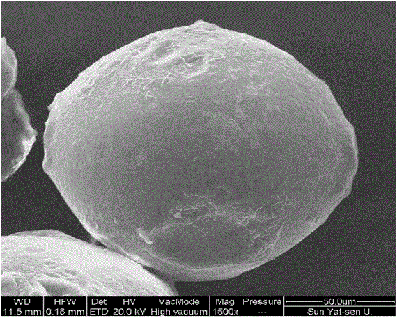 A kind of hollow open gelatin cell microcarrier and its preparation method and application