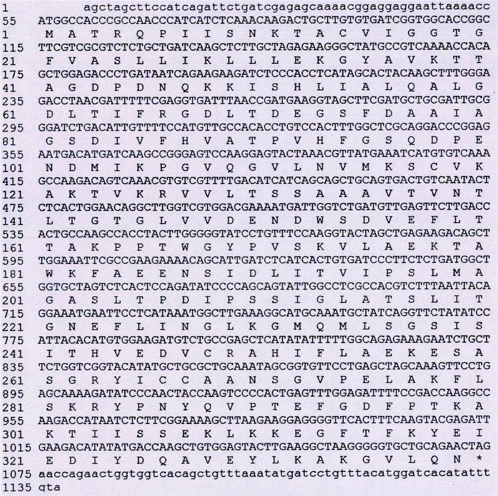 Complete sequence of anthocyanidin reductase gene from Rubus ideaus L. and preparation method thereof