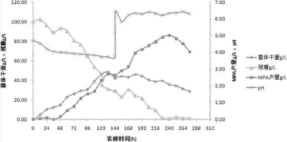 Method for producing mycophenolic acid from penicillium brevicompactum by high-efficiency accumulation