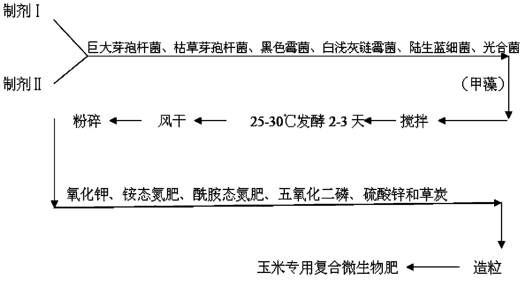 Compound microorganism fertilizer specially used for corns and capable of improving soil and preparation method thereof