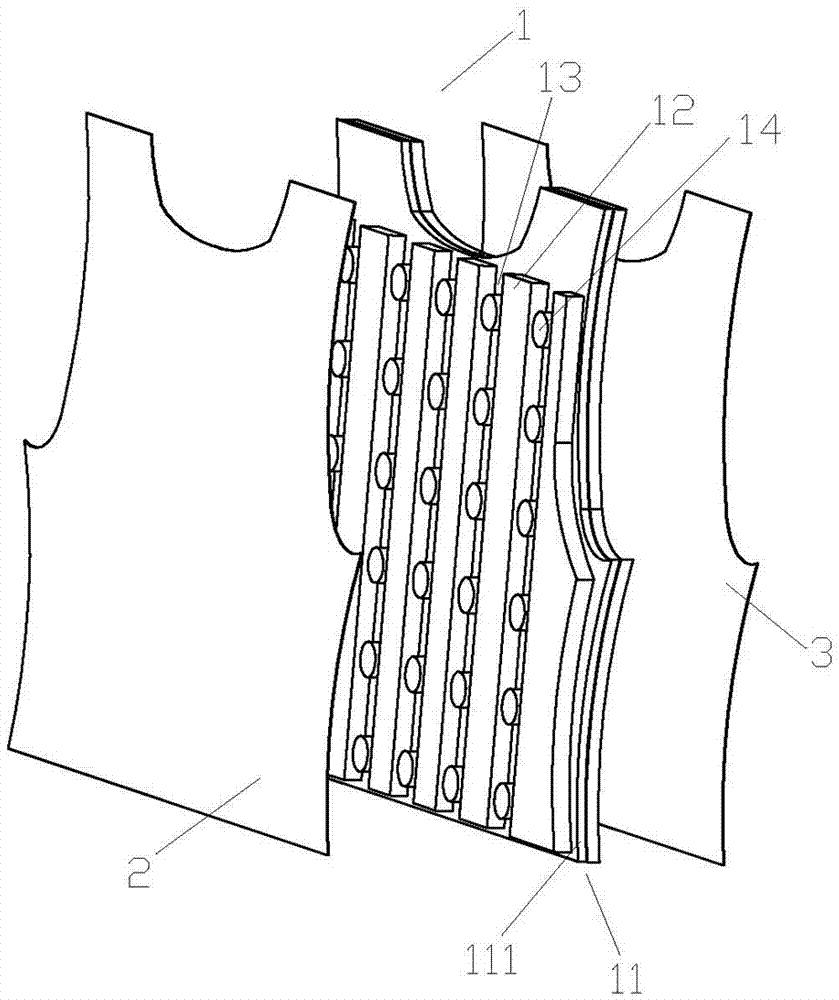 a magnetic vest