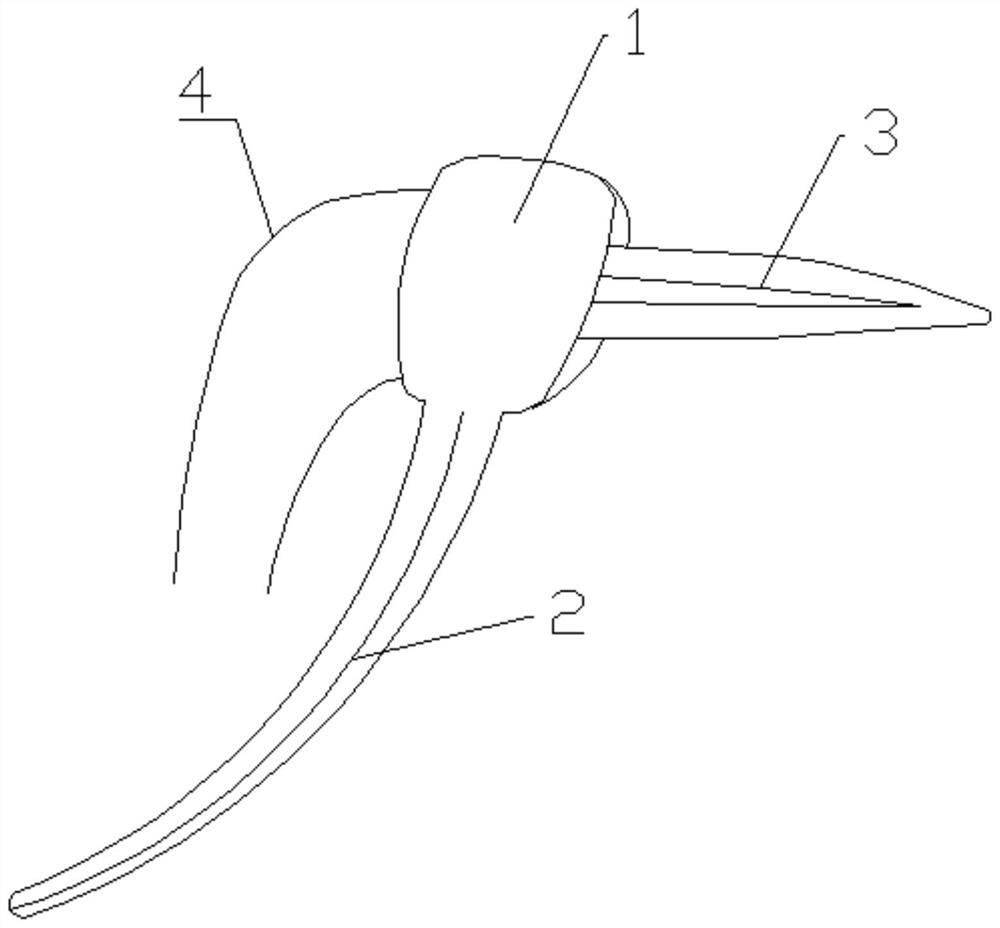 C-shaped wrapping type pancreatic fistula resistant drainage device