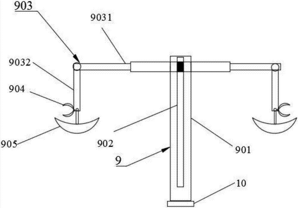 Efficient economic subtropical rural domestic sewage purification constructed wetland vegetation system