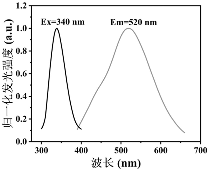 Luminous silver nanocluster and preparation method and application thereof