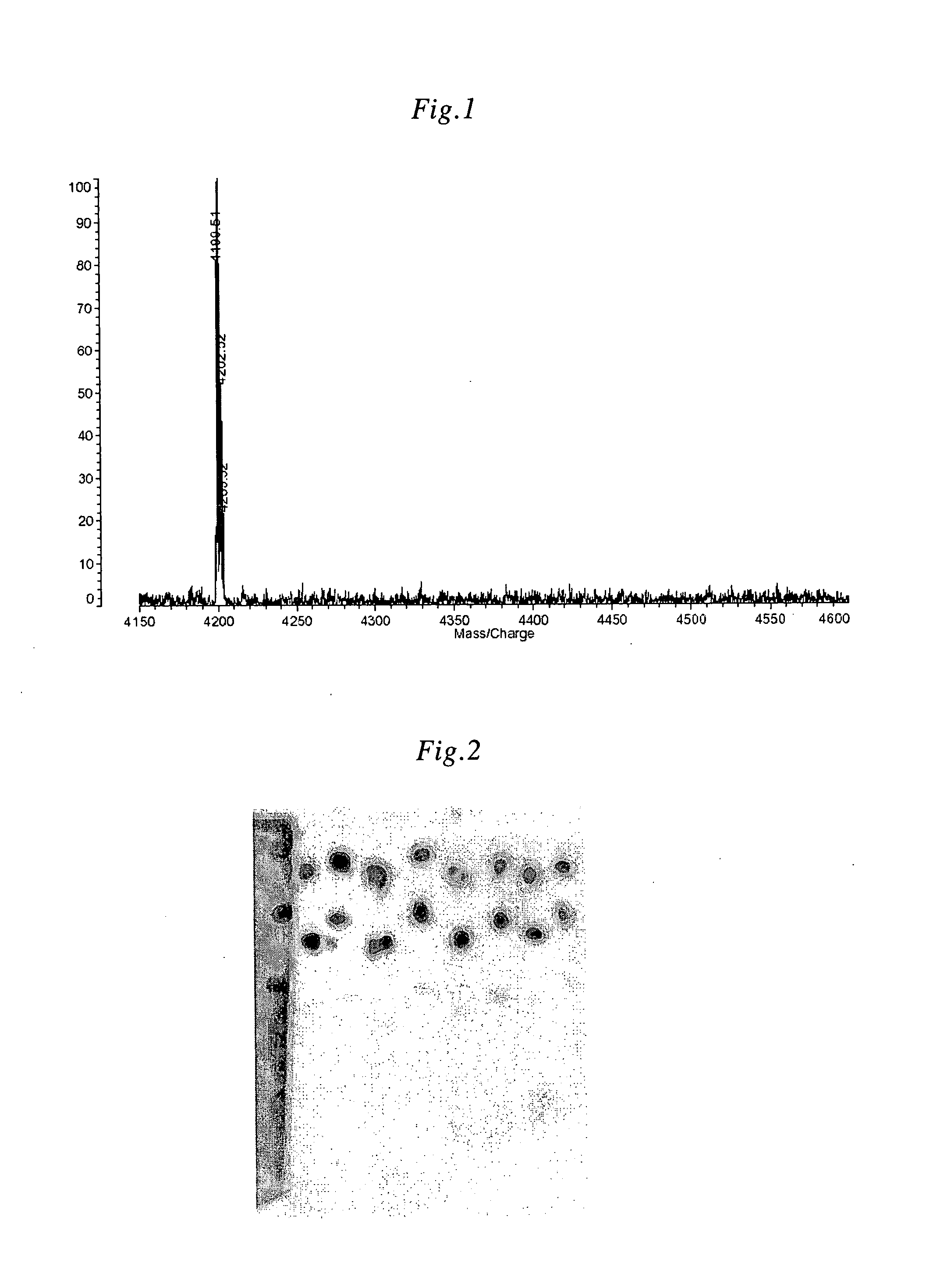 Variant Amyloid Protein