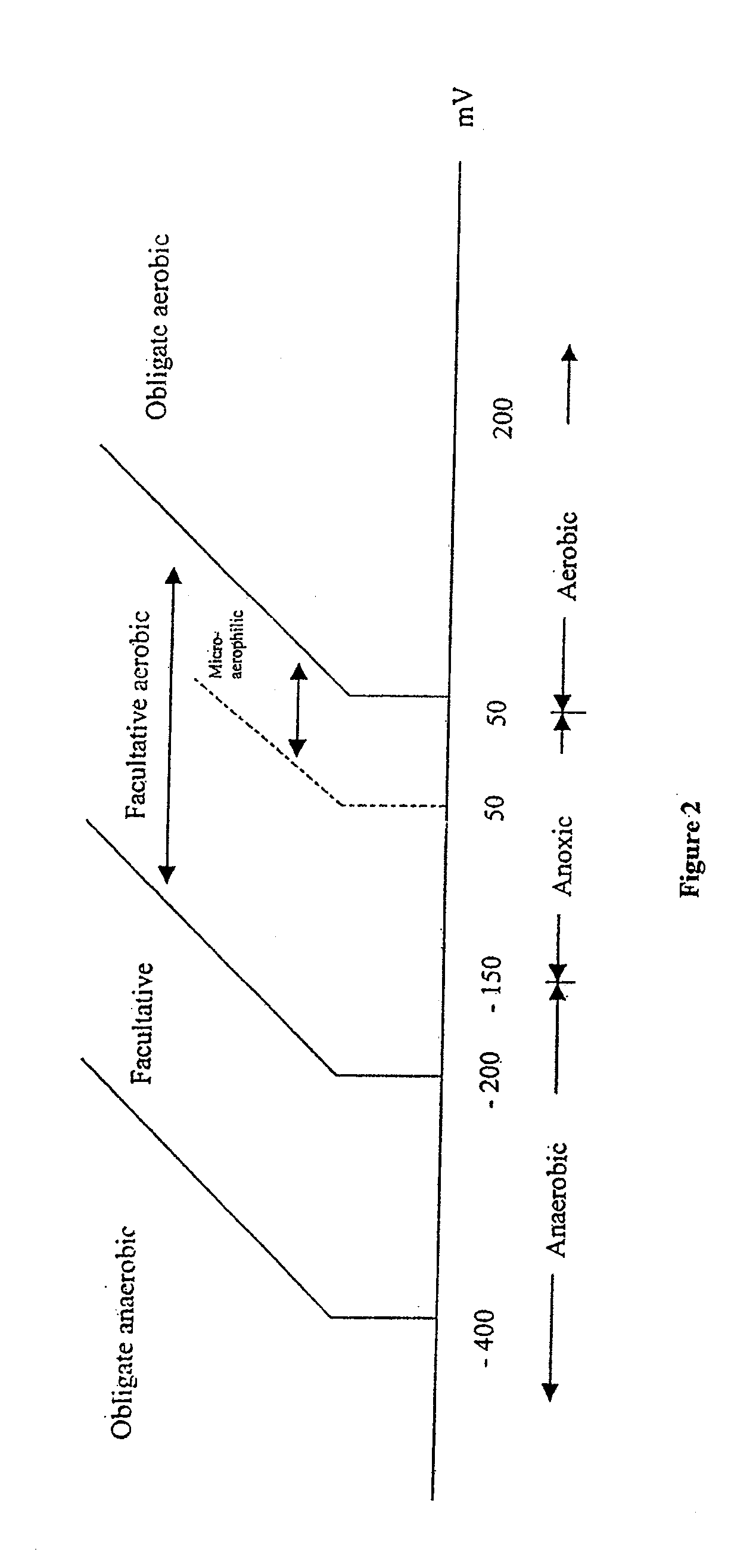 Apparatus and methods for control of waste treatment processes