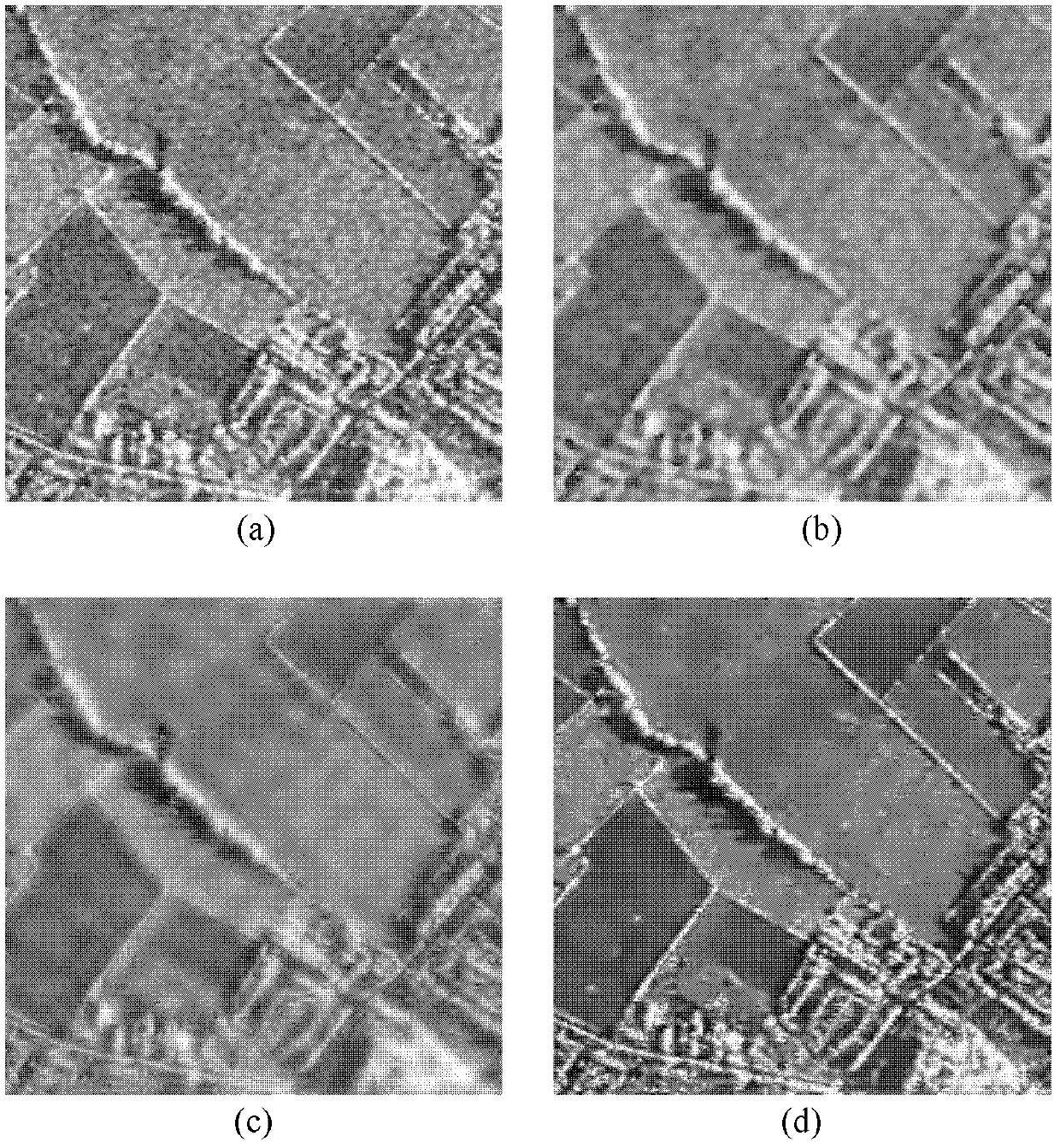 SAR image speckle suppression method based on dictionary learning in wavelet domain