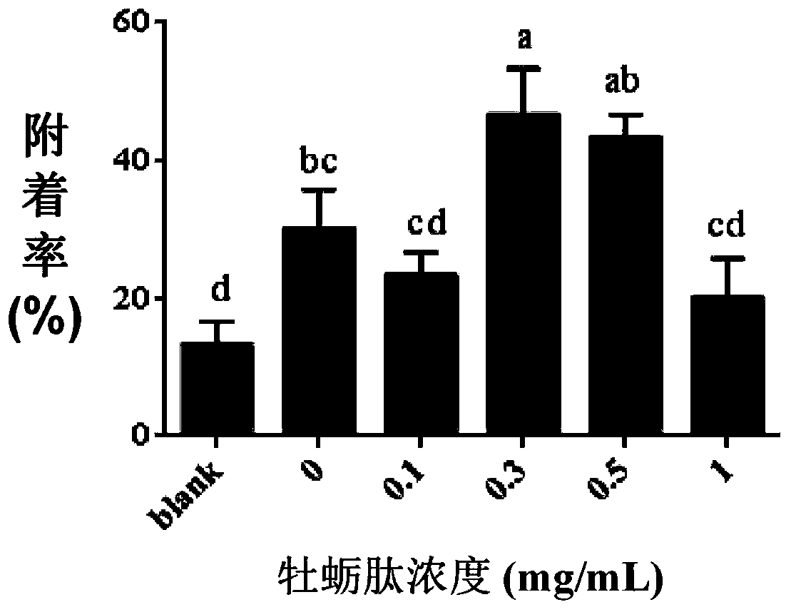 Application of oyster peptide in promoting marine shewanella to induce juvenile mytilus coruscus to adhere