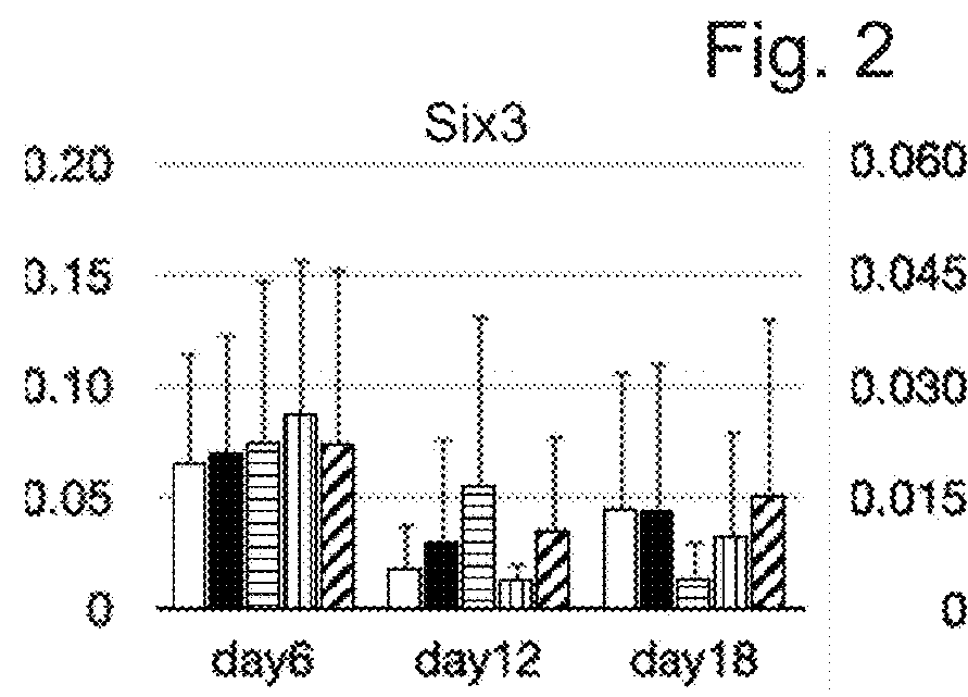 Method for inducing cerebral cortex neurons