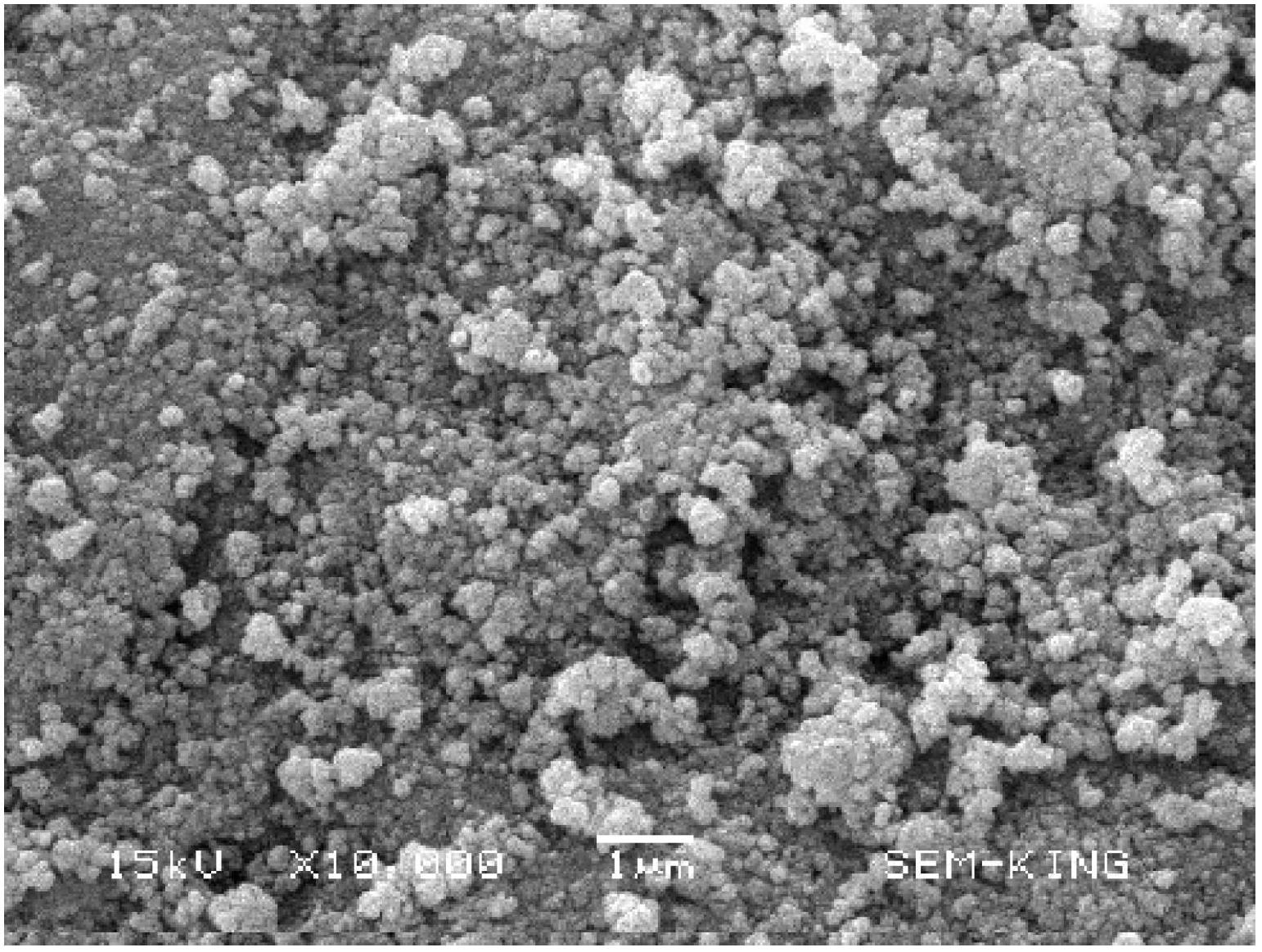 Squarylium cyanine dye sensitized titanium dioxide visible light catalyst, and preparation method and application thereof