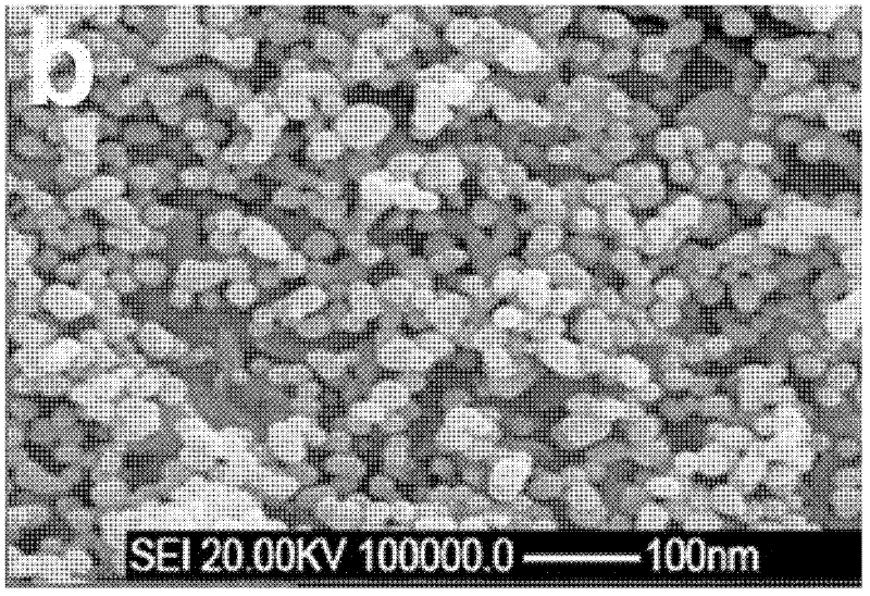 Method for preparing cadmium hydroxide nanowires