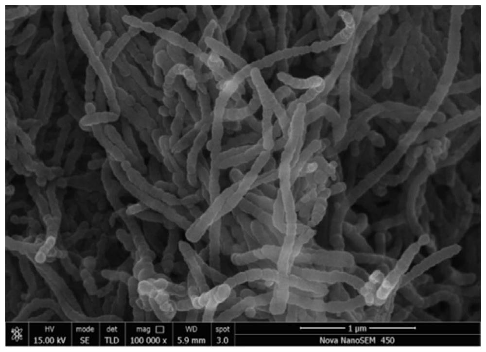 Preparation method of nitrogen-doped carbon nanotube wave-absorbing agent