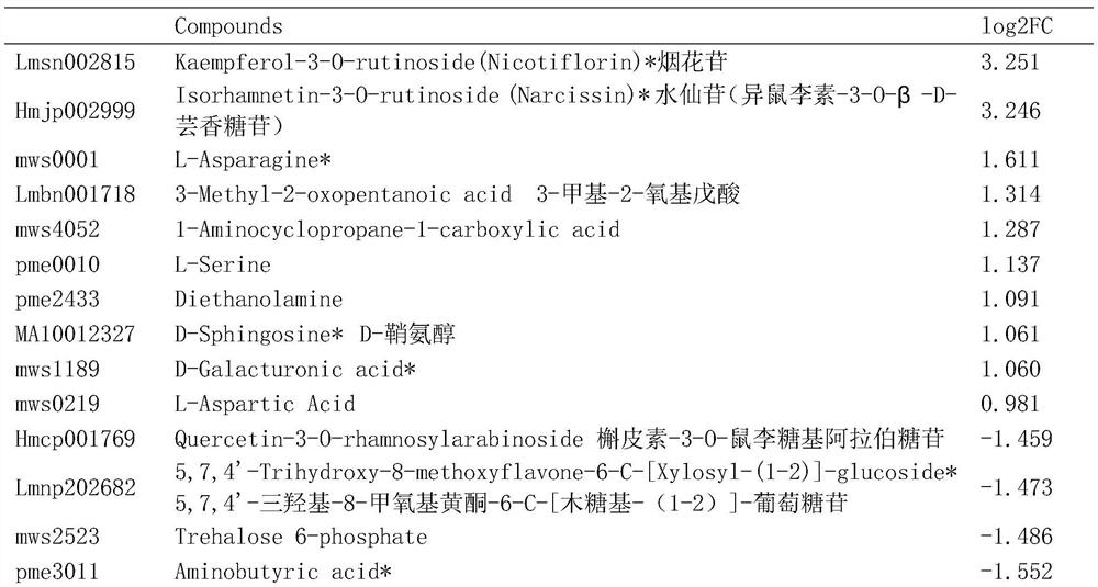 Tetrastigma hemsleyanum ThF3'5' H gene and application thereof