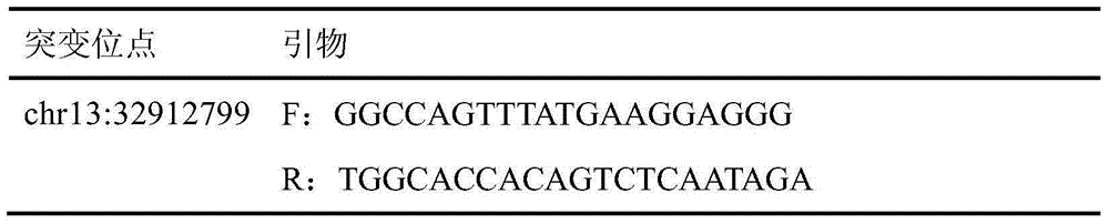 BRCA2 gene g.32912799T&gt;C mutation and application of mutation in auxiliary breast cancer diagnosis