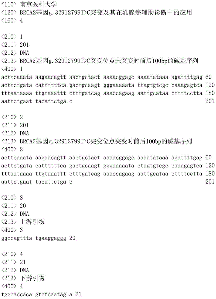 BRCA2 gene g.32912799T&gt;C mutation and application of mutation in auxiliary breast cancer diagnosis