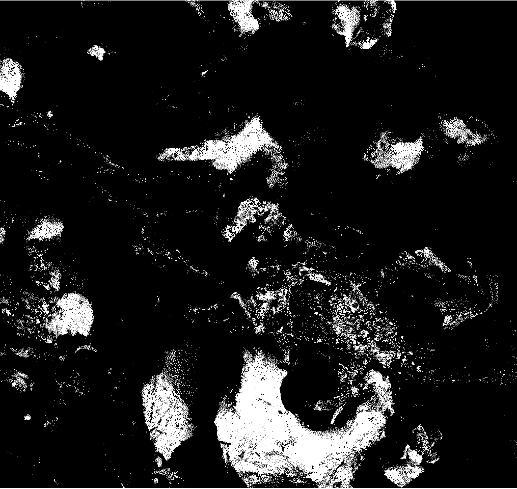 Collagen coralline hydroxyapatite composite bone filling scaffold material and material preparation method thereof